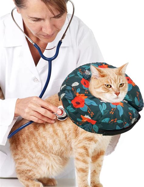 Buy Purrrfect Life Protective Inflatable Collar for Dogs and Cats ...