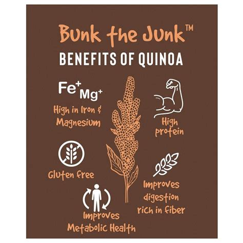 Buy Quinoa Energy Bars India | Quinoa Oat Protein Bars Snacks - EAT Anytime