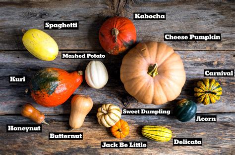 Know Your Squash: How They Look, How They Cook - The New York Times