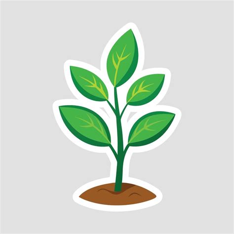 Image result for Plant Animation Tutorial