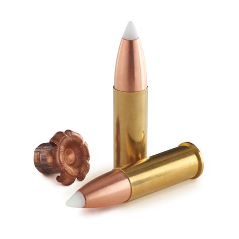 Image result for Exploding 44 Mag Ammo