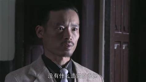 黑狐-电视剧-全集-爱奇艺