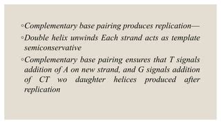 Image result for DNA Replication Complementary Strand