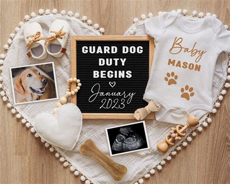 Dog Pregnancy Announcement | Dog Baby Announcement | Pregnancy Reveal ...