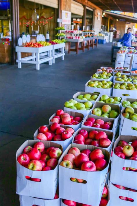 Boa Vista Orchards in Apple Hill - An El Dorado County Gem - California ...
