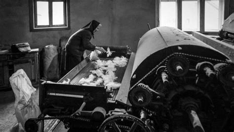 Novosti.rs | Galerija | FOTO-IZLOŽBA “LEPOTA STARENjA”: Maji Stošić iz ...