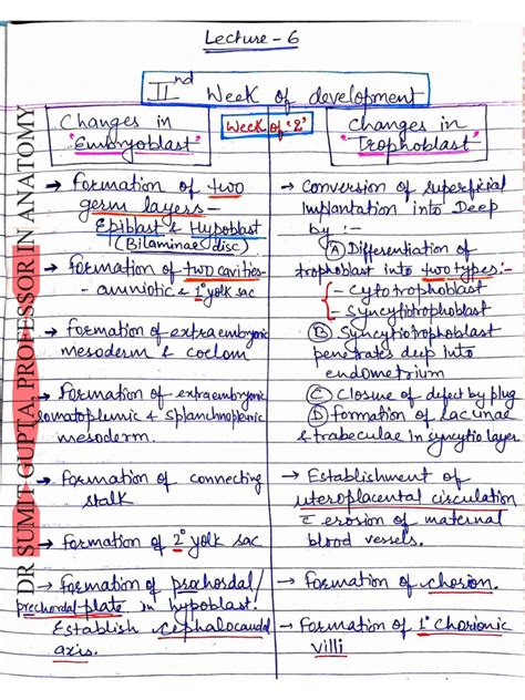 Image result for 2nd Week of Development