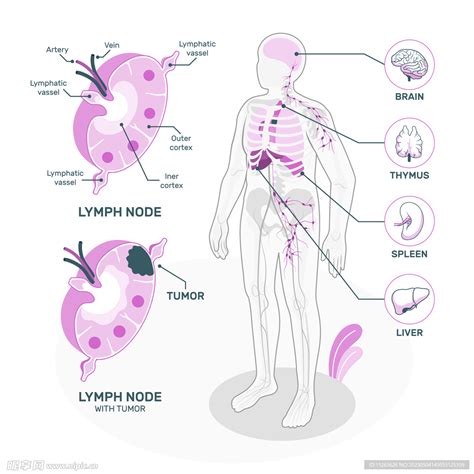 医学 的图像结果