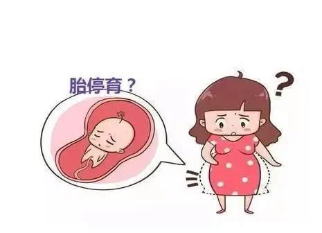 怀孕没出血怎么会胎停