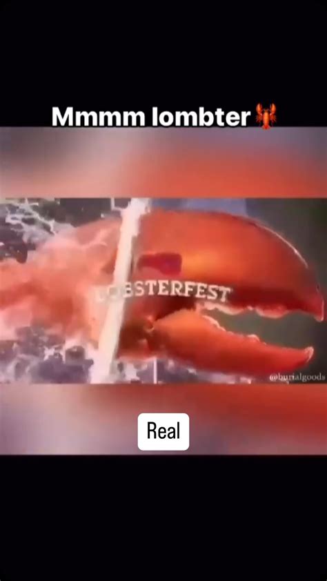 Memes | Comedy | Entertainment | Sure! Here’s a concise summary of the 2016 XXL Freshman Cypher ...