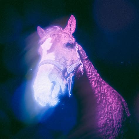 HONEY I’M HOME / “Wishful Thinking” (NUEVA CANCIÓN) - Global-Pop Magazine