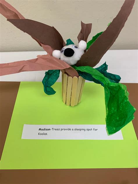 Image result for Project-Based Learning First Grade Lessons