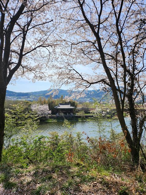 Image result for Spring Framework Background Images Linkdin