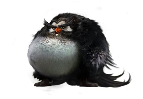 Angry Bird Black Bird