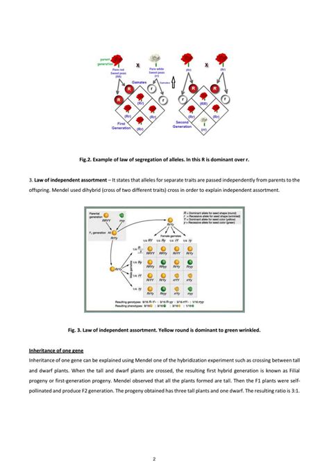Principle of Inheritance Class 12 One Shot 的图像结果