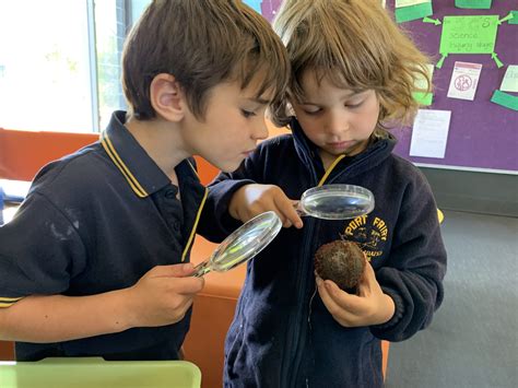 Primary School Science 的图像结果