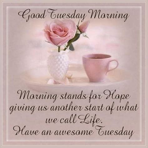 999+ Stunning 4K Tuesday Morning Images - Exceptional Assortment of ...