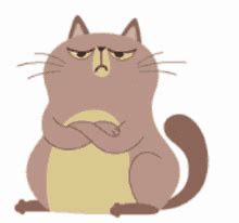 Image result for Mern Stack Developer GIF