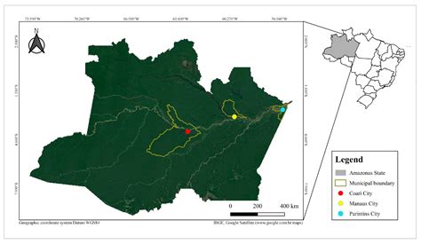 Larvicidal Activities against Aedes aegypti of Supernatant and Pellet ...