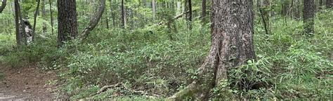 Image result for Stumpy Lake Map