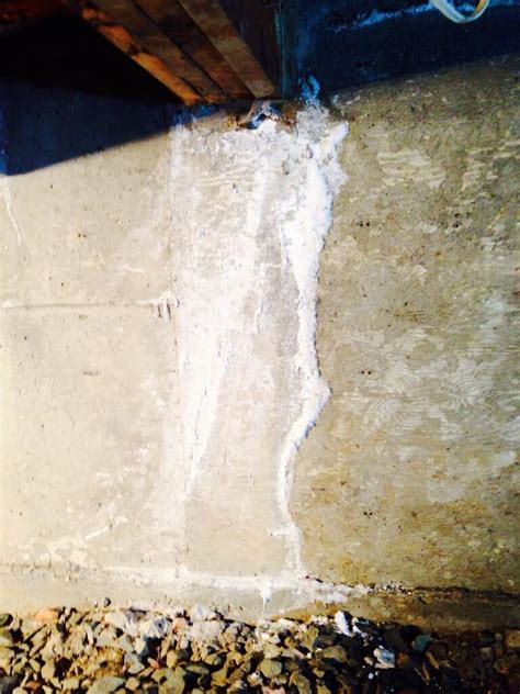 Image result for Efflorescence Repair