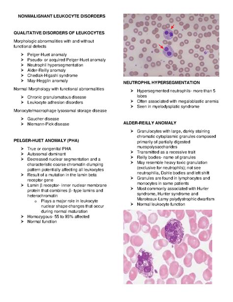 Nonmalignant Leukocyte Disorders Chapter 29 - NONMALIGNANT LEUKOCYTE DISORDERS QUALITATIVE ...