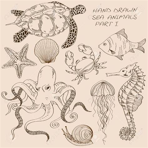 Set of isolated hand drawn contour sea animals Stock Vector - 27946337 ...