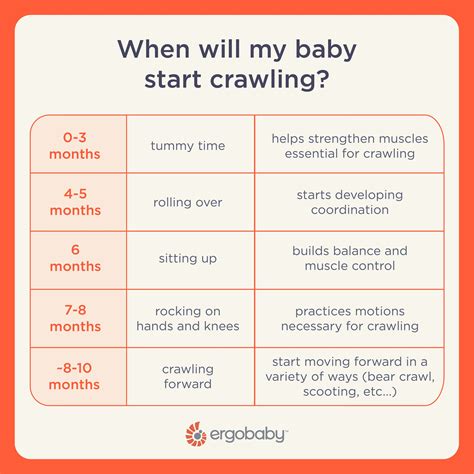 When Do Babies Start Crawling: A Developmental Guide on Baby Crawling ...