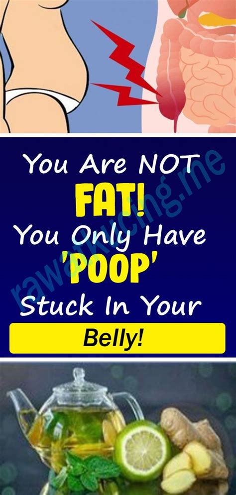 what helps a dog poop