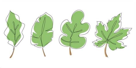 Image result for Leaf Modification Animation