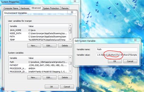 System Variable Settings for Python 的图像结果