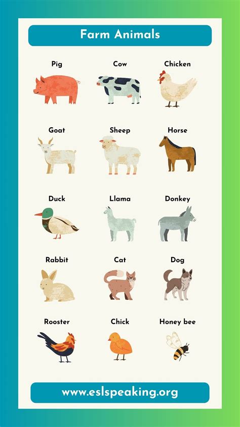List of Domestic Animal Names Including Farm Animals and Pets