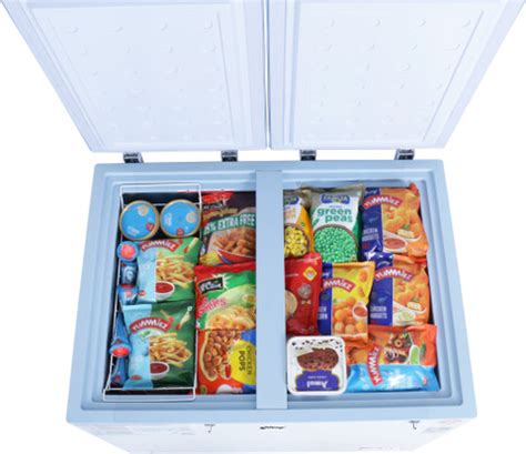 Godrej 300 L Double Door Standard Deep Freezer Price in India - Buy ...
