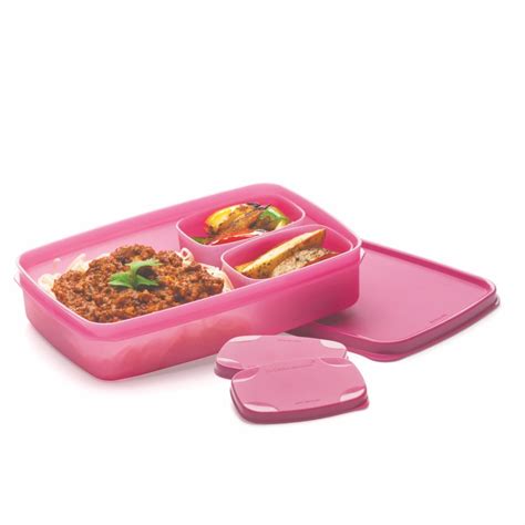 Buy Signoraware Compact Bpa Free Plastic Microwave Safe Lunch Box, Food ...