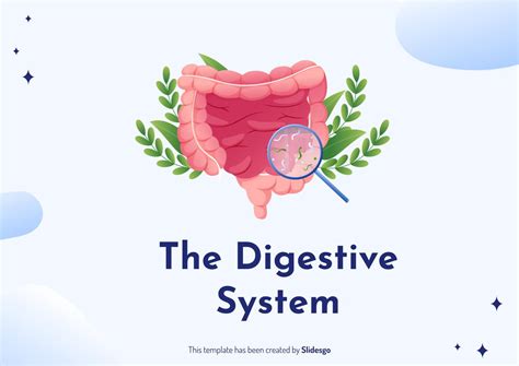 Image result for Digestive System Slides
