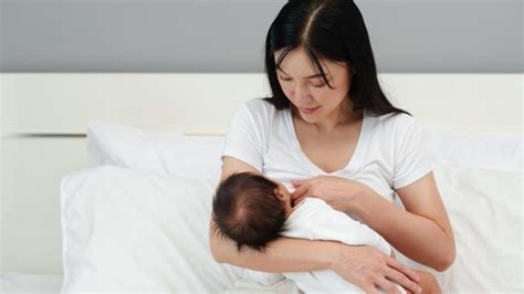 Videotutorial Menyusui 的图像结果