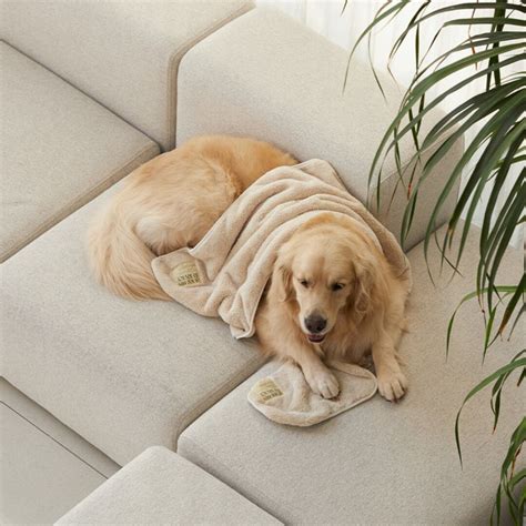 【andblank】 クイックドライタオル（S/L） | coco.kina