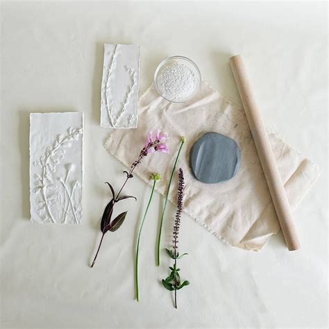 Botanical Plaster Prints, Bowood Farms, St. Louis, 12 July 2024 ...