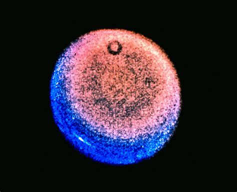 Uranus stinks: Top scientists say planet smells like rotten eggs - WTOP News