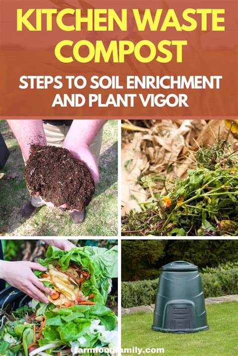 Kitchen Waste Compost: Steps to Soil Enrichment and Plant Vigor