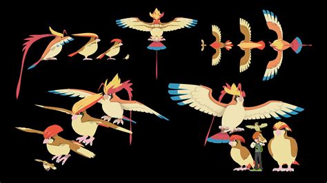 Image result for Pidgey Evolution Level