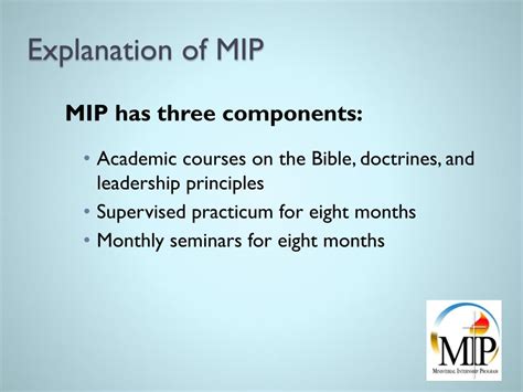 MIP Style 的图像结果