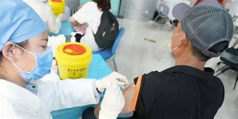 社科战“疫” | 社科学院疫苗接种志愿活动总结-清华大学社会科学学院