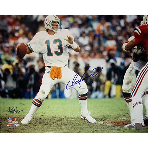 Steiner Sports NFL Miami Dolphins Dan Marino Dropping Back to Pass ...