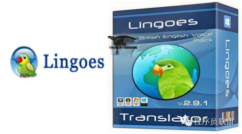 LINGOES灵格斯词霸免安装中文版下载-LINGOES灵格斯词霸免安装中文版下载v2.8.1.0 - 非凡软件站