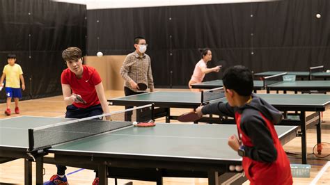 Image result for Table Tennis Video Lessons