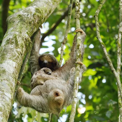 Costa Rica Weather Guide for Families