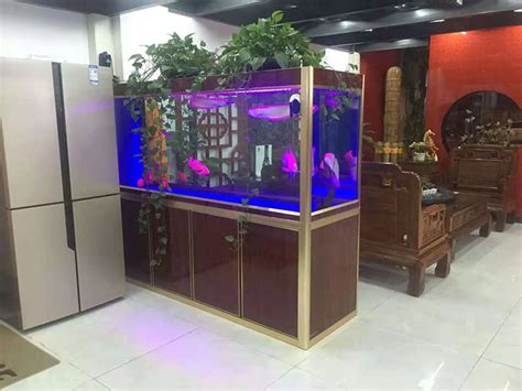 现代型风水鱼缸-东莞市南城海洋水族馆