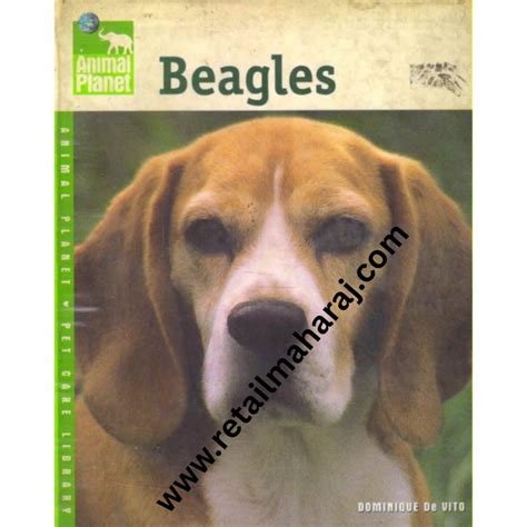 beagles animal planet