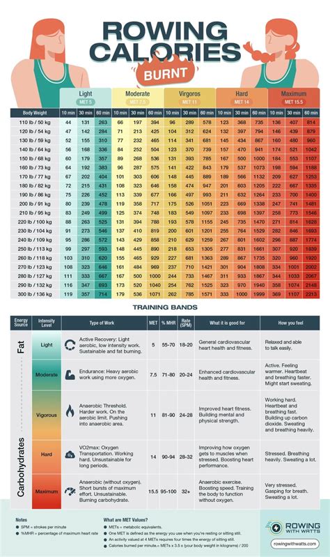 How Many Calories Burned by Rowing Machine: Maximize Results - Medicdrug